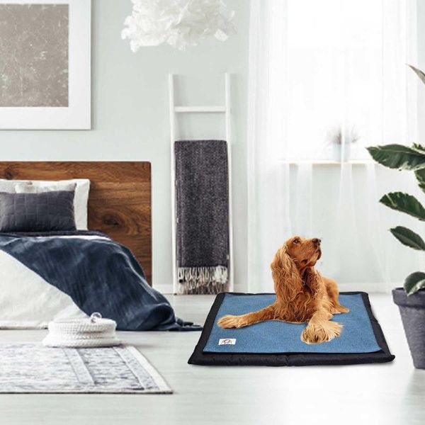warm cat litter mat pet bed with two replaceable blankets waterproof trapping pets box for all seasons beds & furniture
warm cat litter mat pet bed with two replaceable blankets waterproof trapping pets box for all seasons beds & furniture