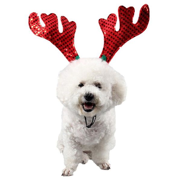 dog apparel decorative hair hoop christmas pet headband puppy cat cosplay party product festival accessories
dog apparel decorative hair hoop christmas pet headband puppy cat cosplay party product festival accessories