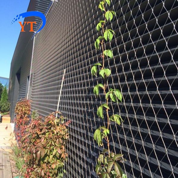 plant climbing green wall mesh, stainless steel wire rope mesh for fencing, trellis & gates
plant climbing green wall mesh, stainless steel wire rope mesh for fencing, trellis & gates