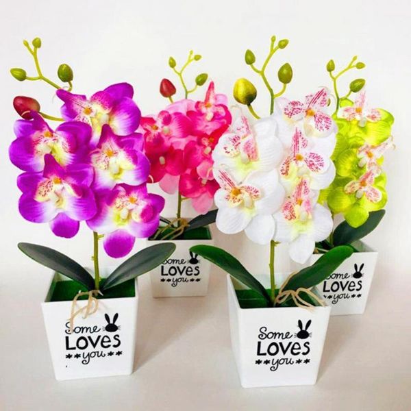 decorative flowers & wreaths artificial butterfly orchid bonsai fake flower with pot home furniture decoration
decorative flowers & wreaths artificial butterfly orchid bonsai fake flower with pot home furniture decoration