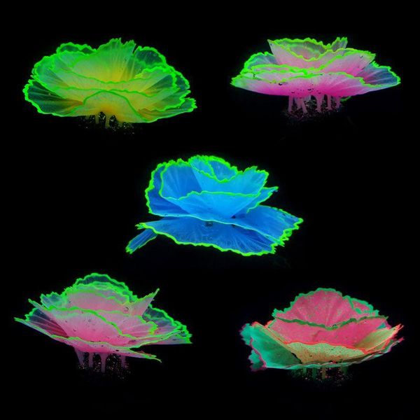 decorations aquarium ornament decoration fish tank landscaping simulation lettuce coral underwater world micro landscape
decorations aquarium ornament decoration fish tank landscaping simulation lettuce coral underwater world micro landscape