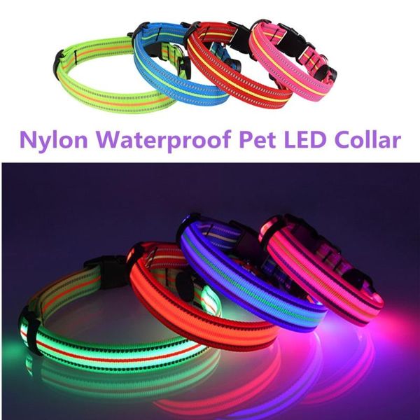 waterproof nylon pet dog led collar puppy dogs cat glow collars safety luminous necklace gem & leashes
waterproof nylon pet dog led collar puppy dogs cat glow collars safety luminous necklace gem & leashes