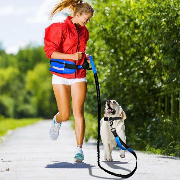 dog collars & leashes sports waist bag rope set cross-border reflective elastic explosion-proof outdoor pet supplies running traction
dog collars & leashes sports waist bag rope set cross-border reflective elastic explosion-proof outdoor pet supplies running traction