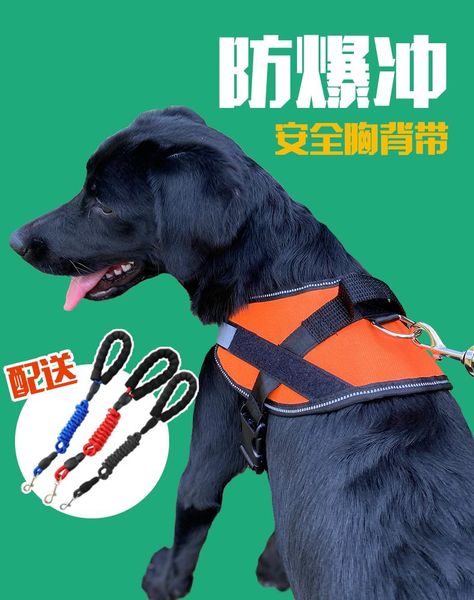dog collars & leashes harness dogs leashs training soft mesh chest strap supplies adjustable outdoor walking cat lead for xs-xl
dog collars & leashes harness dogs leashs training soft mesh chest strap supplies adjustable outdoor walking cat lead for xs-xl