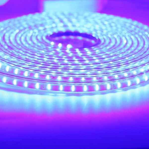 strips ac220v led strip lights ip67 waterproof eu plug flexible lighting lamp tape 120 leds/m 3014 smd outdoor light 50m
strips ac220v led strip lights ip67 waterproof eu plug flexible lighting lamp tape 120 leds/m 3014 smd outdoor light 50m