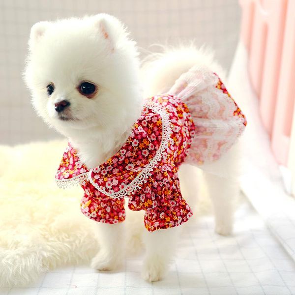 dog apparel cute cat floral dress summer pet clothes small dogs pets flowers lace spliced dresses for yorkies chihuahua puppy skirt
dog apparel cute cat floral dress summer pet clothes small dogs pets flowers lace spliced dresses for yorkies chihuahua puppy skirt