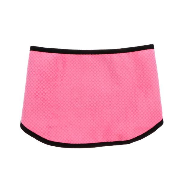 dog apparel pet cooling scarf wrap collar ice towel for outdoor walking running training
dog apparel pet cooling scarf wrap collar ice towel for outdoor walking running training