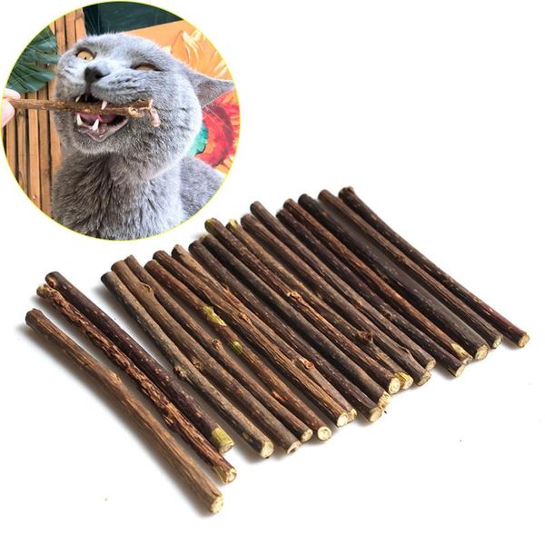 cat toys natural catnip pet molar toothpaste stick actinidia fruit silvervine sticks cleaning teeth supplies
cat toys natural catnip pet molar toothpaste stick actinidia fruit silvervine sticks cleaning teeth supplies