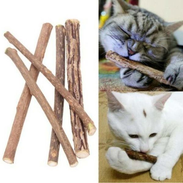 cat toys 24pcs pure natural catnip pet toy molar toothpaste branch cleaning teeth silvervine pets sticks supplies
cat toys 24pcs pure natural catnip pet toy molar toothpaste branch cleaning teeth silvervine pets sticks supplies