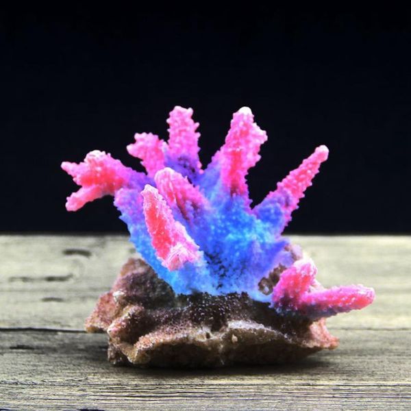 fish tank aquarium accessories jewelry resin simulation coral reef landscaping decoration crafts pet supplies decorations
fish tank aquarium accessories jewelry resin simulation coral reef landscaping decoration crafts pet supplies decorations