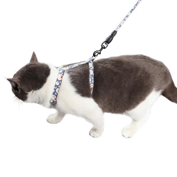 dog collars & leashes small pet puppy breathable leash adjustable pulling rope harness vest chest strap accessories supplies
dog collars & leashes small pet puppy breathable leash adjustable pulling rope harness vest chest strap accessories supplies