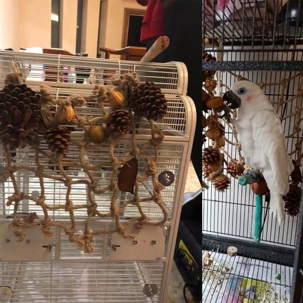 other bird supplies pets hanging toy parrot cage funny climbing net with nuts swing rope stand hammock chewing biting toys
other bird supplies pets hanging toy parrot cage funny climbing net with nuts swing rope stand hammock chewing biting toys