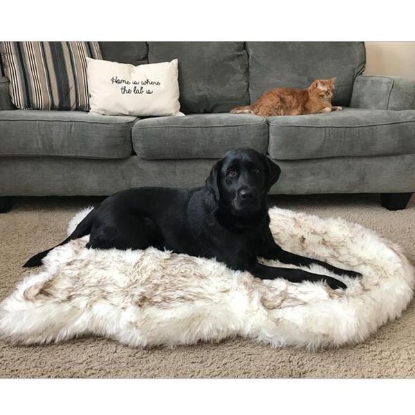 kennels & pens faux fur dog mat pet beds curve rug winter thicken warm sleeping cushion for large medium small dogs cats blanket
kennels & pens faux fur dog mat pet beds curve rug winter thicken warm sleeping cushion for large medium small dogs cats blanket