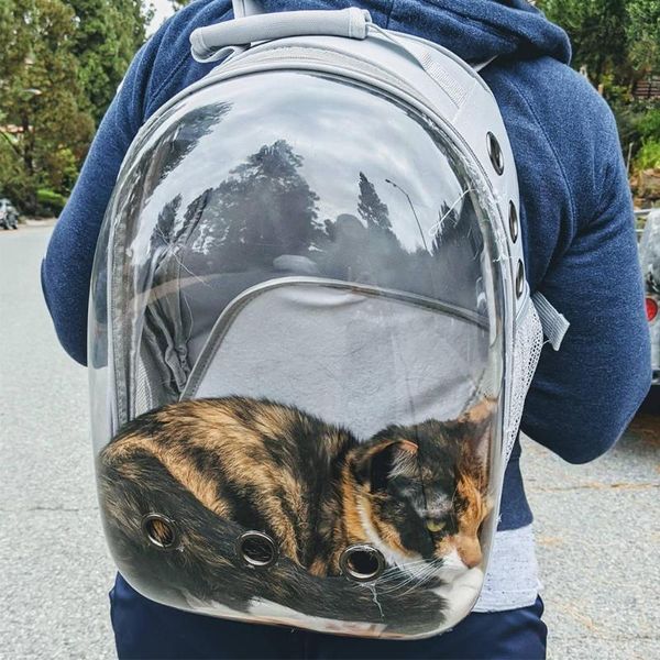 cat backpack transparent carrying bag travel space pet dog carrier transport bags for cats and small dogs car seat covers
cat backpack transparent carrying bag travel space pet dog carrier transport bags for cats and small dogs car seat covers