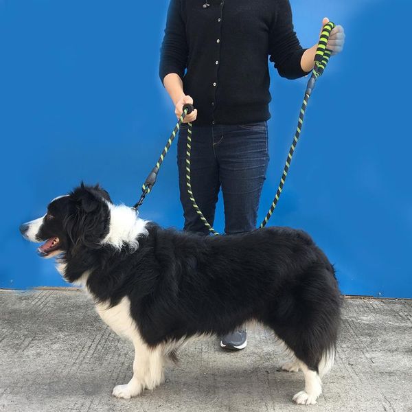 dog collars & leashes reflective nylon leash double handled mountain climbing rope chain traction for pet training walking running
dog collars & leashes reflective nylon leash double handled mountain climbing rope chain traction for pet training walking running