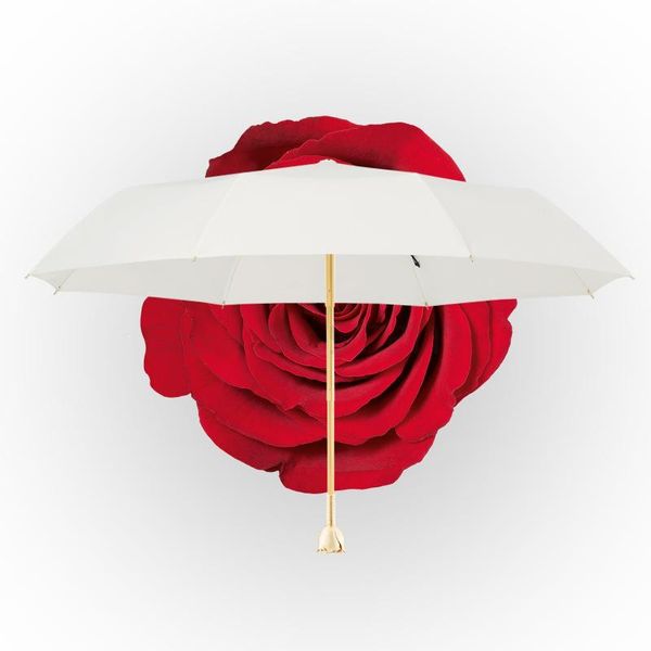 umbrellas luxury windproof umbrella parasol travel mini ladies folding paraguas plegable mujer rain gear
umbrellas luxury windproof umbrella parasol travel mini ladies folding paraguas plegable mujer rain gear