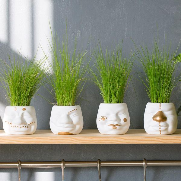vases small clown flower pot cute inserter vase africa human head prickly pear arrangement bottle tabledecor
vases small clown flower pot cute inserter vase africa human head prickly pear arrangement bottle tabledecor