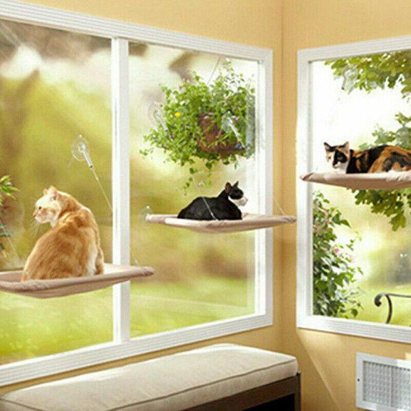 cat beds & furniture cute pet hanging bearing 20kg sunny seat window mount hammock comfortable bed shelf
cat beds & furniture cute pet hanging bearing 20kg sunny seat window mount hammock comfortable bed shelf