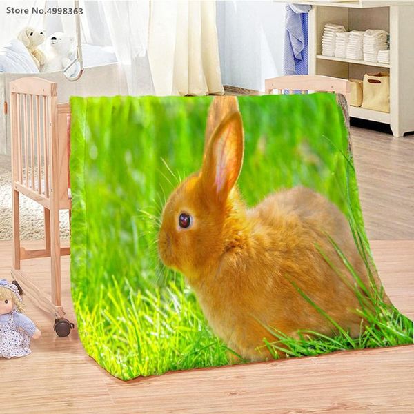 blankets flannel fleece throw blanket all seasons keep warm teens boy girl soft on sofa couch
blankets flannel fleece throw blanket all seasons keep warm teens boy girl soft on sofa couch