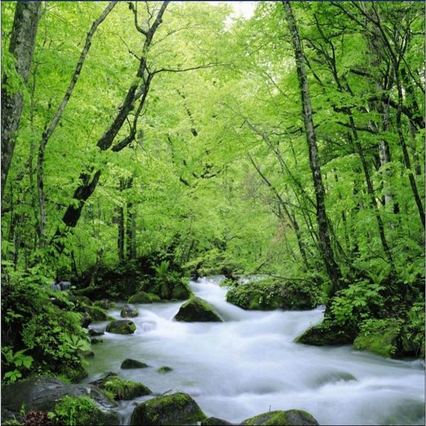 wallpapers po wallpaper 3d custom wall painting living room tv backdrop el lobby club nature scenery mural
wallpapers po wallpaper 3d custom wall painting living room tv backdrop el lobby club nature scenery mural