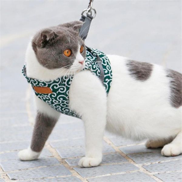 cat collars & leads clothes harness vest chest straps cats dogs walking leash set japenese style pet supplies pets
cat collars & leads clothes harness vest chest straps cats dogs walking leash set japenese style pet supplies pets