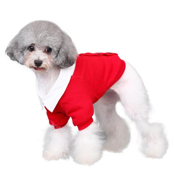 dog apparel korean version of the fake two-piece cardigan clothes autumn and winter warm teddy two-legged yorkshire cotton coat
dog apparel korean version of the fake two-piece cardigan clothes autumn and winter warm teddy two-legged yorkshire cotton coat