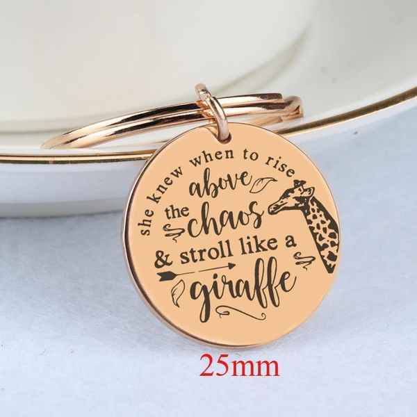 keychains engraved she k when to rise above the chaos & stroll like a giraffe stainless steel keychain for teacher,mother's gift, Silver
keychains engraved she k when to rise above the chaos & stroll like a giraffe stainless steel keychain for teacher,mother's gift, Silver