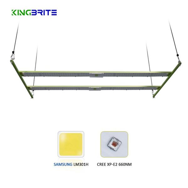 grow lights cover 2x4ft kingbrite 240w samsung lm301b/lm301h dimmable 3000k/3500k cree xp-e2 660nm led strip light meanwell driver
grow lights cover 2x4ft kingbrite 240w samsung lm301b/lm301h dimmable 3000k/3500k cree xp-e2 660nm led strip light meanwell driver