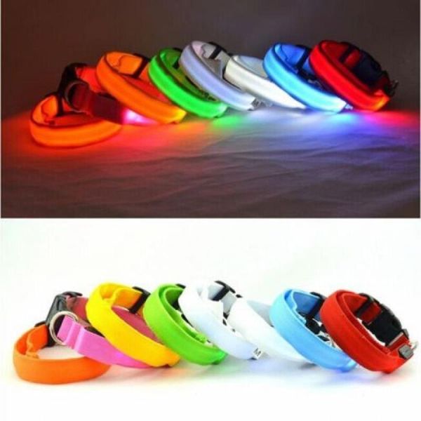 dog collars & leashes led collar night safety pet flashing light adjustable nylon leash suit for large and small pets 4 sizes optional
dog collars & leashes led collar night safety pet flashing light adjustable nylon leash suit for large and small pets 4 sizes optional