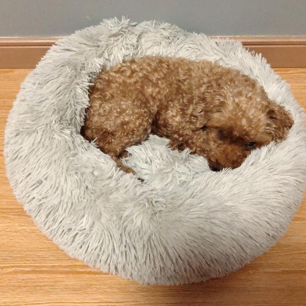 kennels & pens round soft warm dog bed comfortable pet cat nest washable house kennel for cats dogs easy-clean supplies
kennels & pens round soft warm dog bed comfortable pet cat nest washable house kennel for cats dogs easy-clean supplies