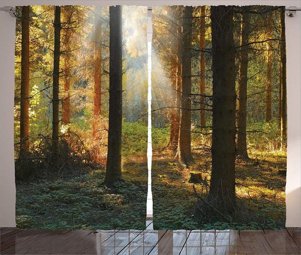 curtain & drapes dining room curtains farm house sunset in dark pine forest autumn foggy scene with sunbeams trunks shadow living decor
curtain & drapes dining room curtains farm house sunset in dark pine forest autumn foggy scene with sunbeams trunks shadow living decor