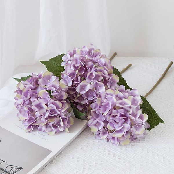 decorative flowers & wreaths artificial hydrangea wall wedding christmas garland material decorations vases for home outdoor garden fake pla
decorative flowers & wreaths artificial hydrangea wall wedding christmas garland material decorations vases for home outdoor garden fake pla