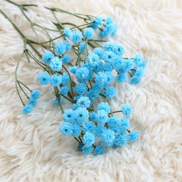 heads pography props decorative artificial flower garden coffee house home gypsophila gift crafts wedding party plastic flowers & wreaths
heads pography props decorative artificial flower garden coffee house home gypsophila gift crafts wedding party plastic flowers & wreaths