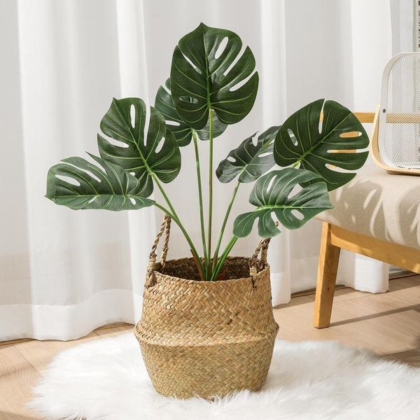 decorative flowers & wreaths 1pc 59cm artificial plants nordic faux monstera alocasia floor leaf green plant living room decoration pography
decorative flowers & wreaths 1pc 59cm artificial plants nordic faux monstera alocasia floor leaf green plant living room decoration pography