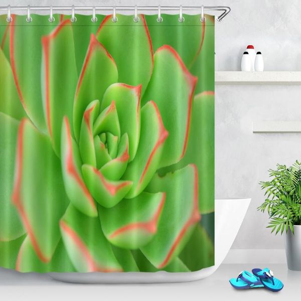 shower curtains lb waterproof polyester curtain red green black agave seeds plant leaf bathroom fabric for bathtub home decor
shower curtains lb waterproof polyester curtain red green black agave seeds plant leaf bathroom fabric for bathtub home decor
