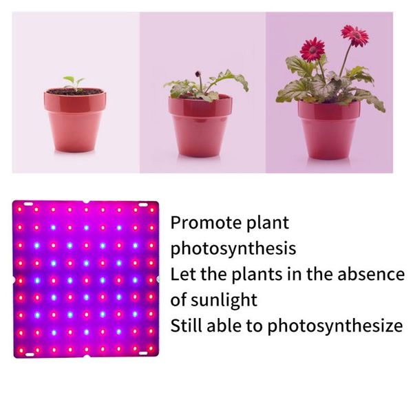 20w/40w copper led grow light indoor balcony full spectrum plantets growing night lamp fill for greenhouse farmhouse lights
20w/40w copper led grow light indoor balcony full spectrum plantets growing night lamp fill for greenhouse farmhouse lights