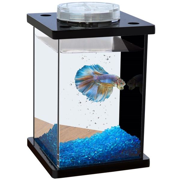 mini ultra-transparent clear fish tanks remote 7 colors led lighting fighting tank table aquarium 1pc aquariums
mini ultra-transparent clear fish tanks remote 7 colors led lighting fighting tank table aquarium 1pc aquariums