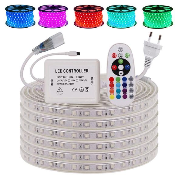 outdoor led strip lights 220v 240v smd ip67 waterproof tape rope 60leds/m remote control rgb ribbon home diy lighting strips
outdoor led strip lights 220v 240v smd ip67 waterproof tape rope 60leds/m remote control rgb ribbon home diy lighting strips