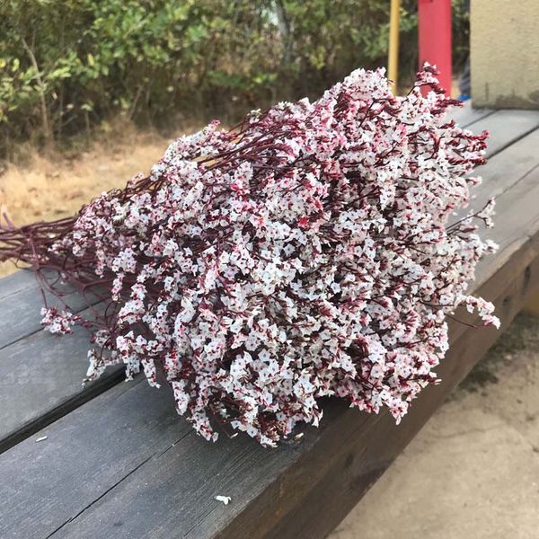 natural fresh dried crystal grass preserved roseflowereternal forget me flowersreal forever delphinium bouquet for home decor
natural fresh dried crystal grass preserved roseflowereternal forget me flowersreal forever delphinium bouquet for home decor