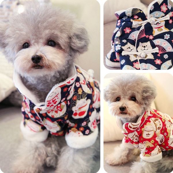 pet golden haired large dog bixiong bomei small teddy cloth autumn and winter year tang
pet golden haired large dog bixiong bomei small teddy cloth autumn and winter year tang