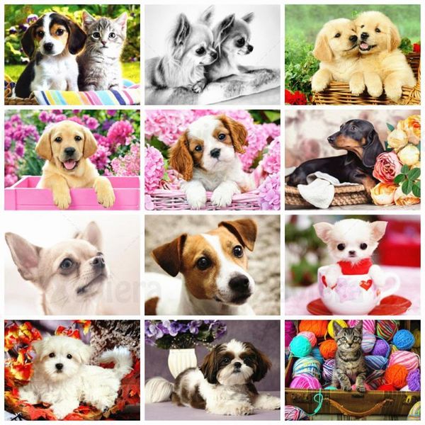 diamond painting 5d dog cute and lively puppy animal full drill square art embroidery cross stitch home decoration
diamond painting 5d dog cute and lively puppy animal full drill square art embroidery cross stitch home decoration