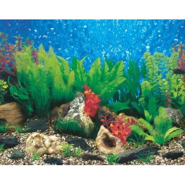 decorations 9019 23.3" x 60" double sided aquarium decoration green plant/blue sea fish tank background picture poster
decorations 9019 23.3" x 60" double sided aquarium decoration green plant/blue sea fish tank background picture poster