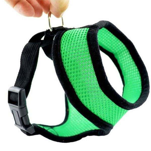 dog apparel drop sell high qualiy harness soft mesh vest lead leash chest belt wh
dog apparel drop sell high qualiy harness soft mesh vest lead leash chest belt wh