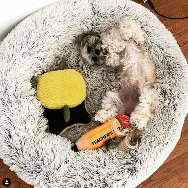 cat beds & furniture pet dogs cats calming bed warm soft plush cute nest comfortable sleeping kennel /by 
cat beds & furniture pet dogs cats calming bed warm soft plush cute nest comfortable sleeping kennel /by