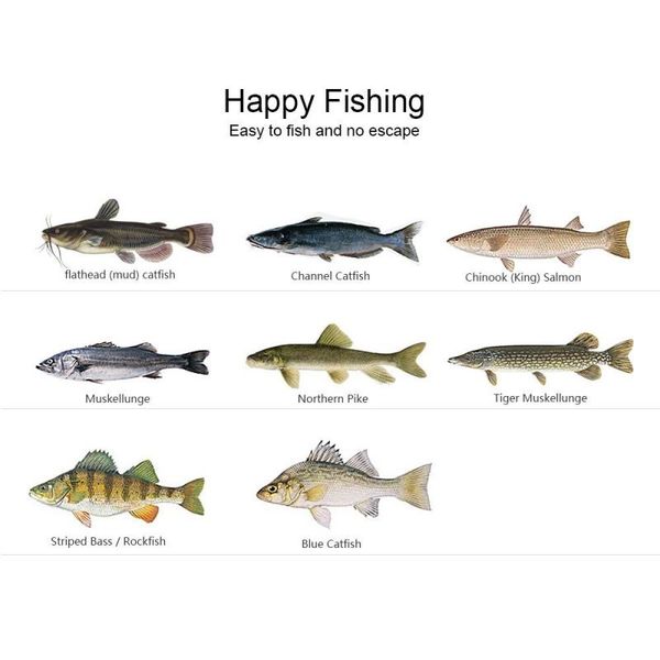 fishing hooks 5pcs/ set wide crank offset with lead jig head fishhooks for soft lure baits barbed tackle
fishing hooks 5pcs/ set wide crank offset with lead jig head fishhooks for soft lure baits barbed tackle