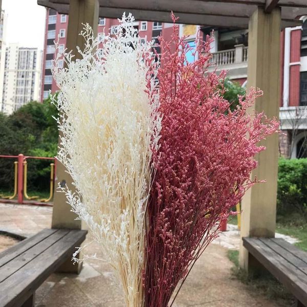 decorative flowers & wreaths 80-90g/bundle,40-45cm lover grass natural fresh dried preserved dancing flowers,real forever flower branch in w
decorative flowers & wreaths 80-90g/bundle,40-45cm lover grass natural fresh dried preserved dancing flowers,real forever flower branch in w