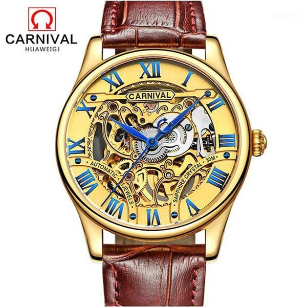switzerland carnival men's watches mechanical wristwatches watch male waterproof reloj hom skeleton sapphire, Slivery;brown
switzerland carnival men's watches mechanical wristwatches watch male waterproof reloj hom skeleton sapphire, Slivery;brown