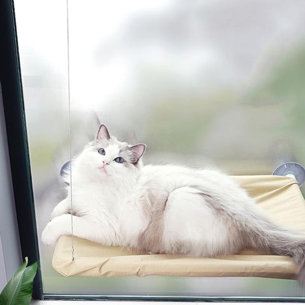 cat beds & furniture cats hammock small bed comfortable cute pet hanging for sunny seat window mount
cat beds & furniture cats hammock small bed comfortable cute pet hanging for sunny seat window mount
