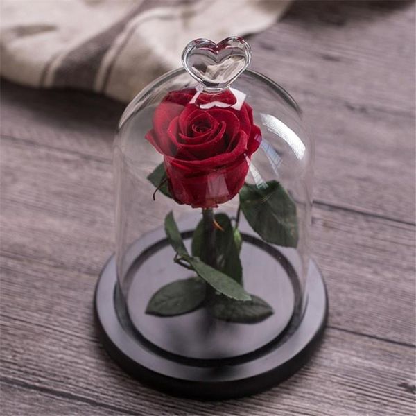 decorative flowers & wreaths eternal rose flower with love glass black case artificial gift for year valentine christmas gif good home decor
decorative flowers & wreaths eternal rose flower with love glass black case artificial gift for year valentine christmas gif good home decor