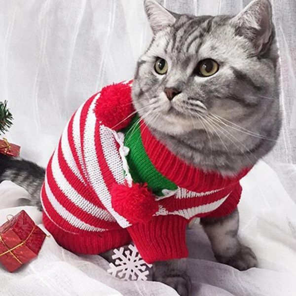 cat costumes 2021 winter pet hoodies dress-up clothes good elasticity comfortable decorative fashion sweater accessories
cat costumes 2021 winter pet hoodies dress-up clothes good elasticity comfortable decorative fashion sweater accessories